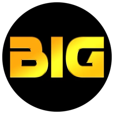 Review Aplikasi bighoki